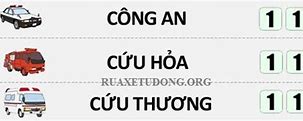 Các Số Điện Thoại Hỗ Trợ Khẩn Cấp Ở Việt Nam