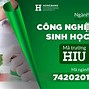 Sinh Học Là Gì Nhà Sinh Học Làm Công Việc Gì