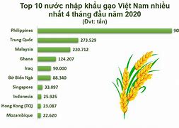 Xuất Khẩu Gạo Năm 2020